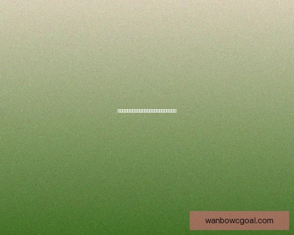 世界杯竞猜高赔率平台推荐助你轻松赢取丰厚奖金秘籍